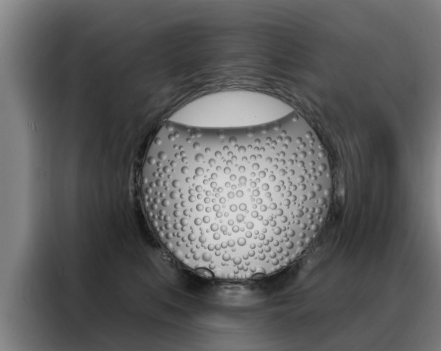 X0000088390519200705220803
