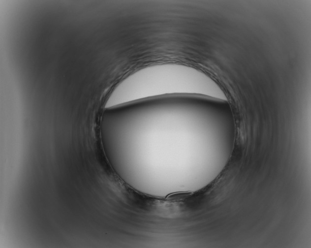 X0000088390520200705220803