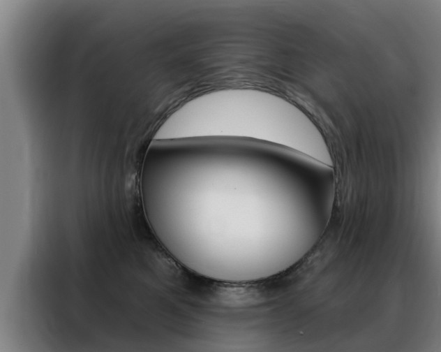 X0000088390521200705220803