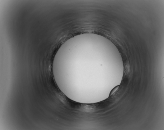 X0000088390522200705220803