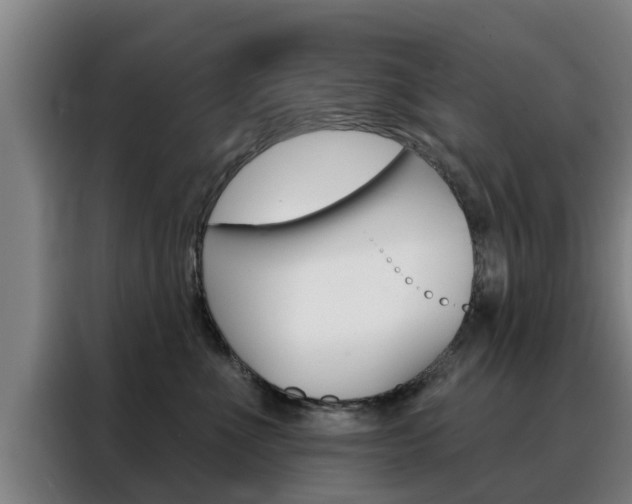 X0000088390523200705220803