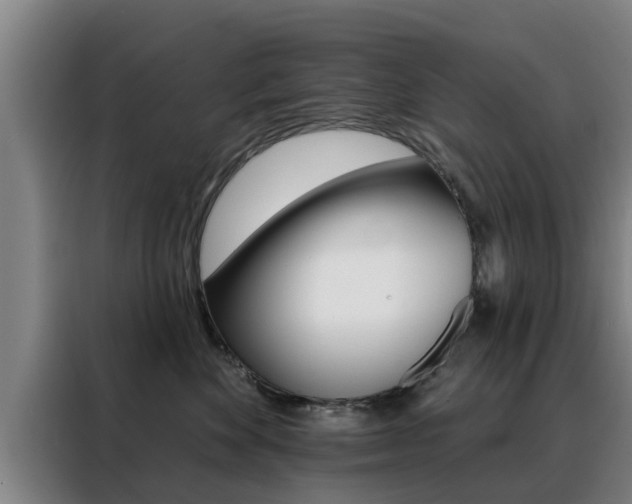 X0000088390524200705220803