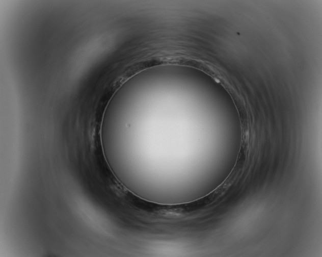 X0000088390525200705220803