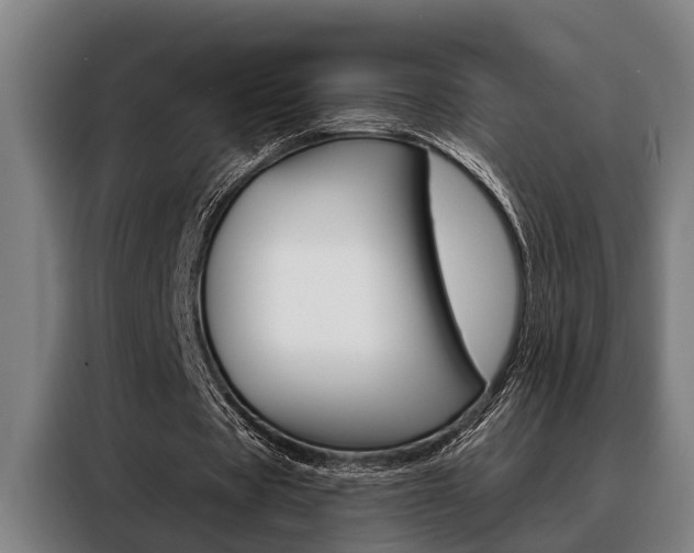 X0000088390529200705220803