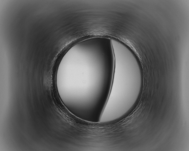 X0000088390531200705220803