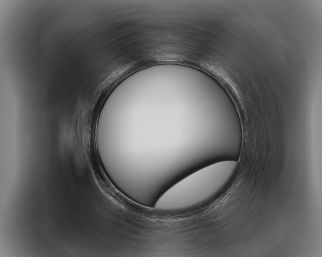 X0000088390533200705220803