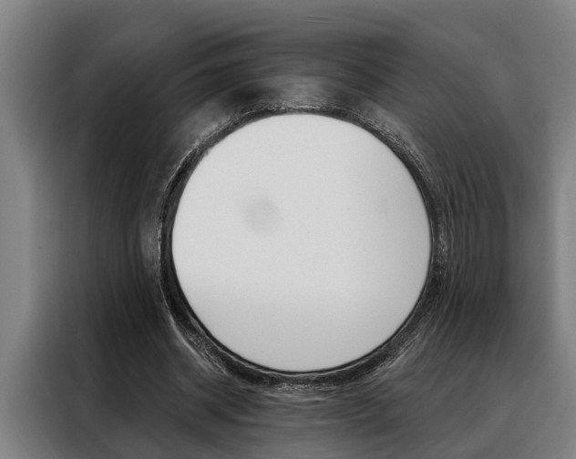 X0000088390534200705220803