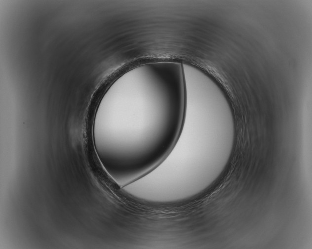 X0000088390536200705220803