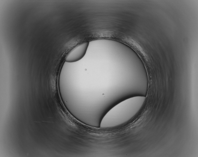 X0000088390537200705220803