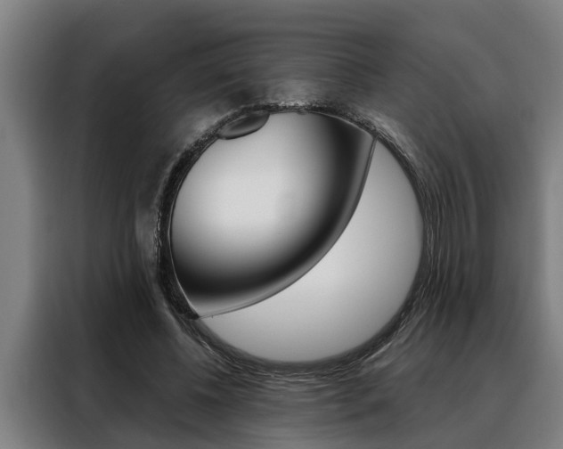 X0000088390540200705220803