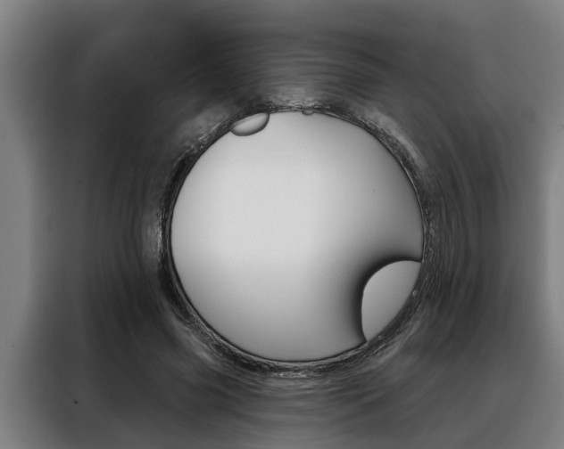 X0000088390541200705220803