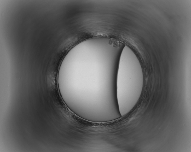 X0000088390545200705220803