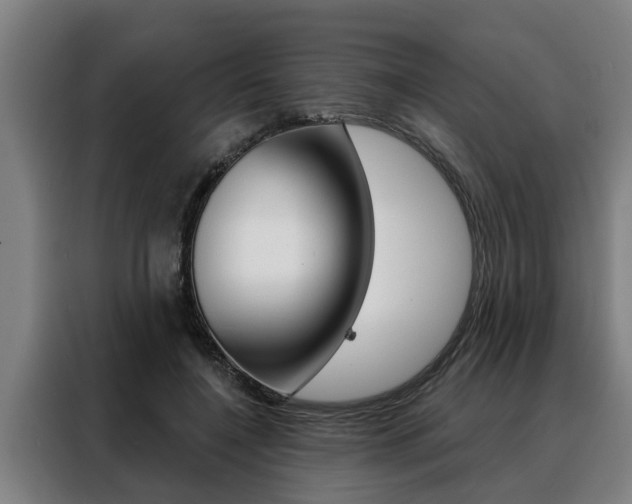 X0000088390548200705220803