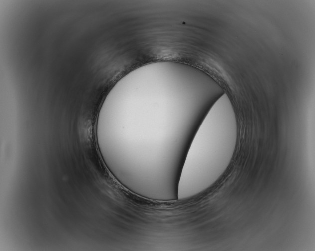 X0000088390549200705220803