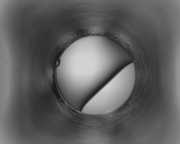 X0000088390550200705220803