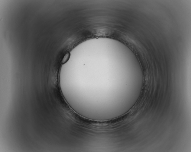 X0000088390554200705220803