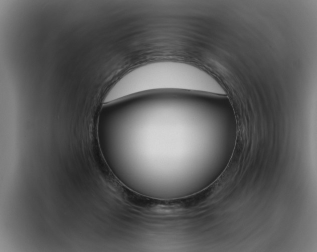 X0000088390556200705220803