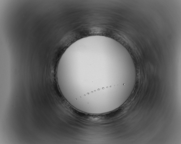 X0000088390557200705220803