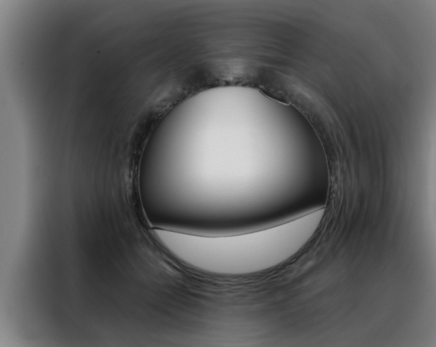 X0000088390558200705220803