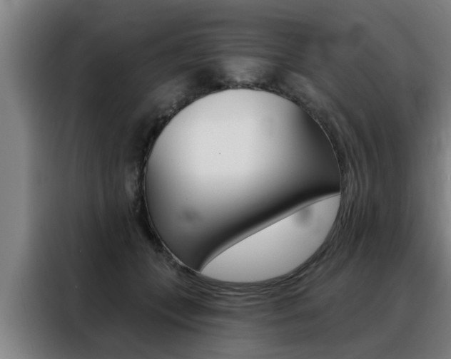 X0000088390559200705220803