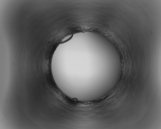 X0000088390563200705220803