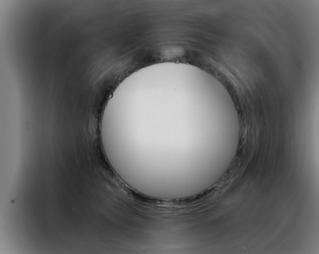 X0000088390565200705220803