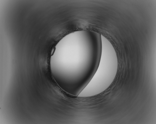 X0000088390566200705220803