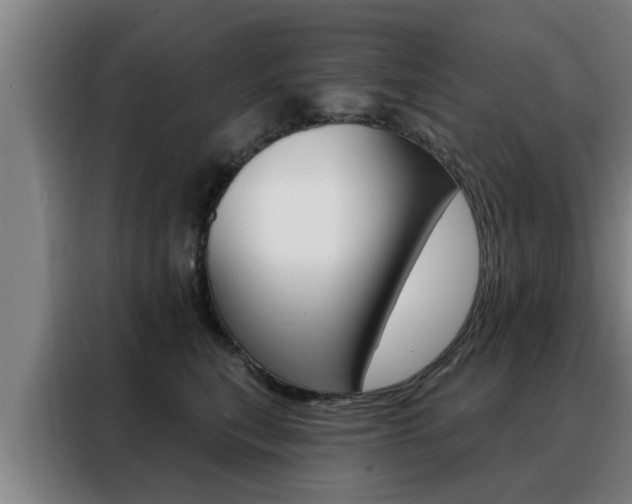 X0000088390567200705220803