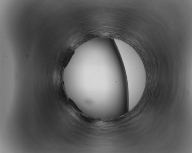 X0000088390568200705220803