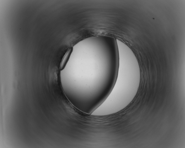 X0000088390570200705220803