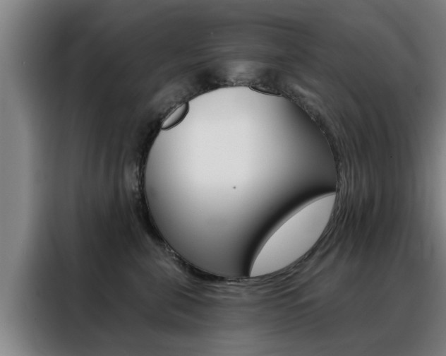 X0000088390571200705220803