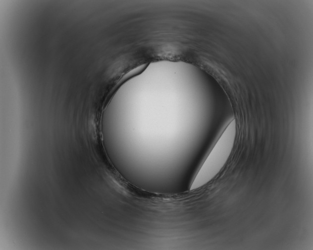 X0000088390572200705220803