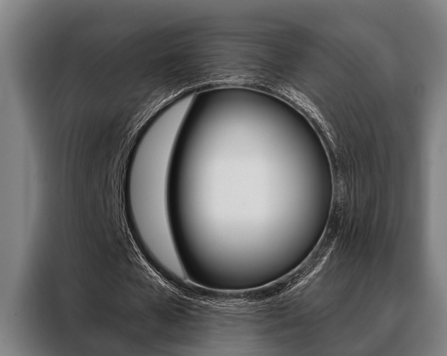 X0000088390577200705220803