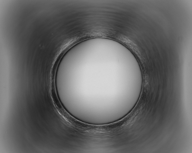 X0000088390578200705220803