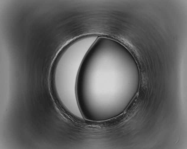 X0000088390580200705220803