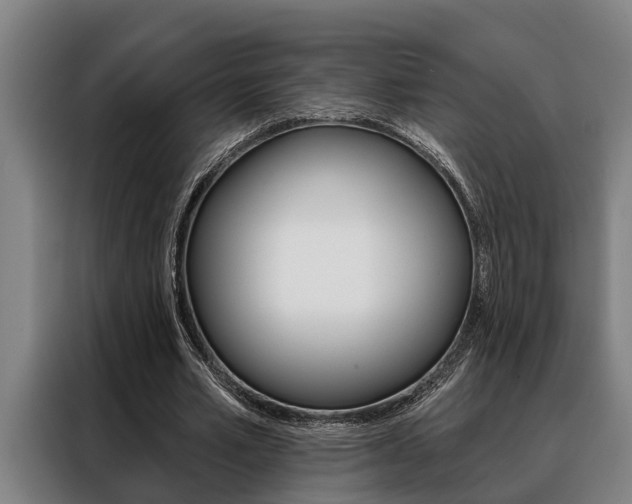 X0000088390581200705220803
