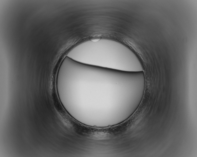 X0000088390586200705220803