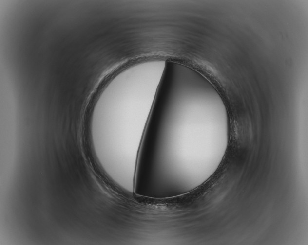 X0000088390588200705220803