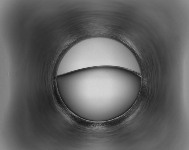 X0000088390589200705220802