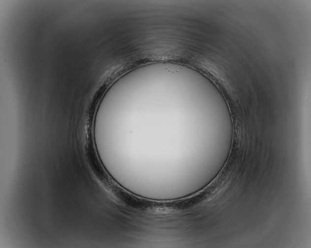 X0000088390590200705220802