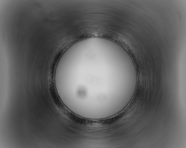 X0000088390594200705220802