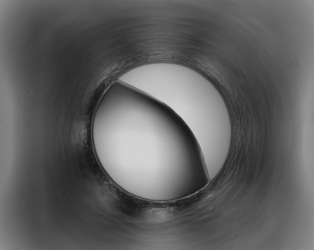 X0000088390595200705220802