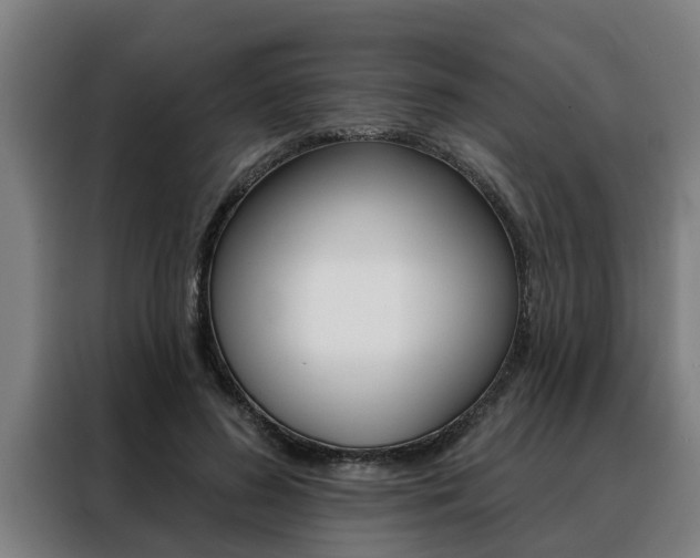 X0000088390596200705220802