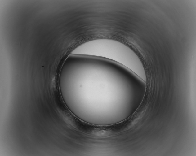 X0000088390597200705220802