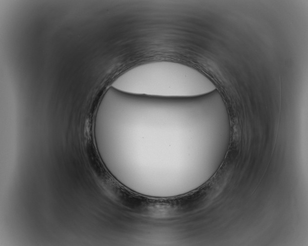 X0000088390598200705220802