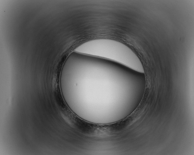 X0000088390599200705220802