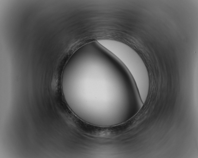 X0000088390600200705220802