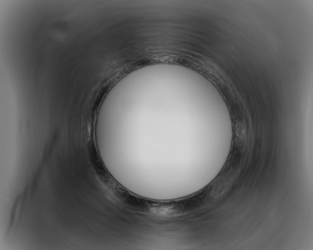X0000088390602200705220802