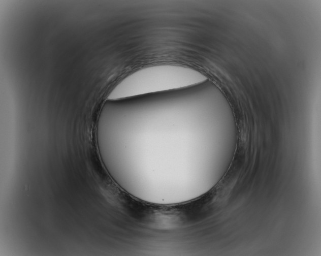 X0000088390603200705220802
