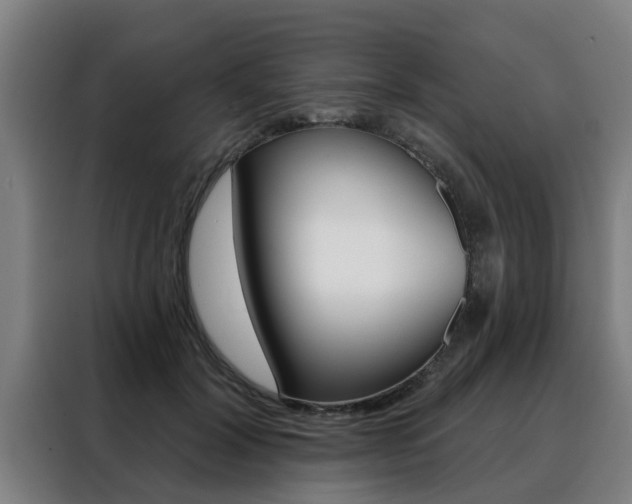 X0000088390604200705220802